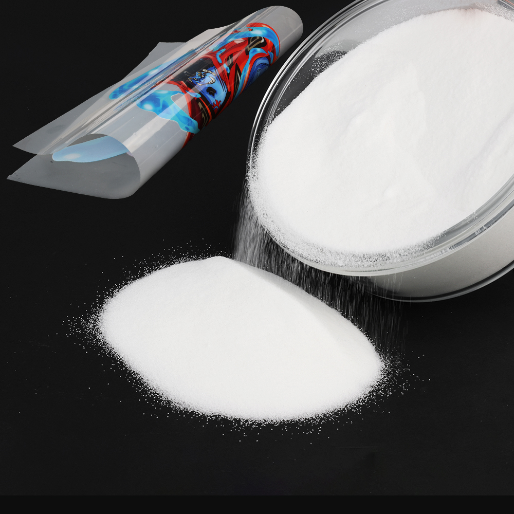 1000g 1kg DTF 파우더 미세 분말, DTF 필 - Direct To Garment Ink 리뷰 및 가격