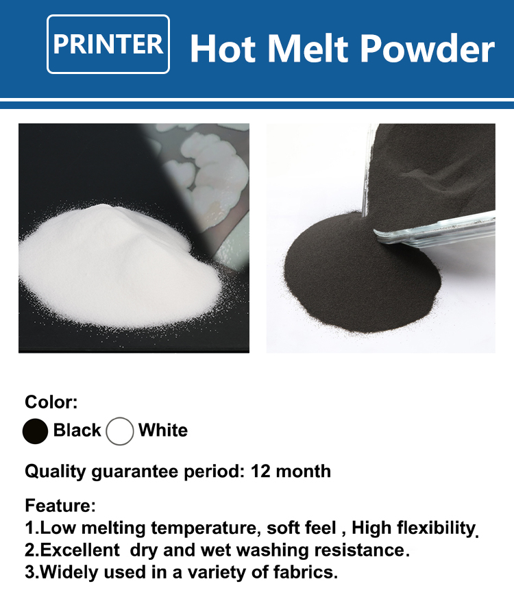 1000g 1kg DTF 파우더 미세 분말, DTF 필 - Direct To Garment Ink 리뷰 및 가격